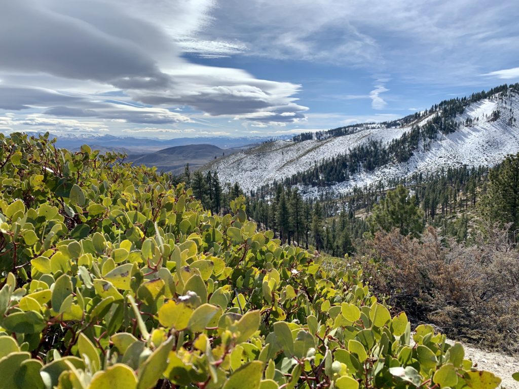 Trail Time